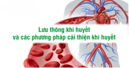 Khí Huyết Suy Giảm Ở Người Lớn Tuổi – Nguyên Nhân Và Cách Bổ Sung An Toàn